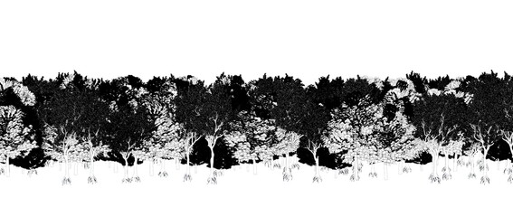 trees in the forest isolated on white background, sketch, outline illustration, cg render