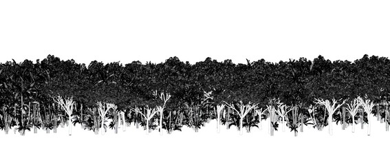 trees in the forest isolated on white background, sketch, outline illustration, cg render