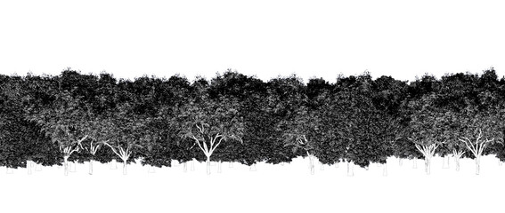trees in the forest isolated on a transparent background, sketch, outline illustration, cg render
