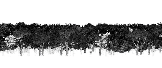 trees in the forest isolated on a transparent background, sketch, outline illustration, cg render