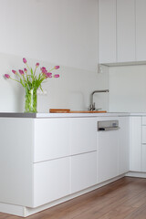 Kitchen interior in white color with sink and plant in white pots. Kitchen countertop with flower. 