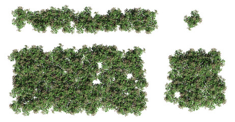 trees in the forest, top view, area view, isolated on transparent background, 3D illustration, cg render © vadim_fl