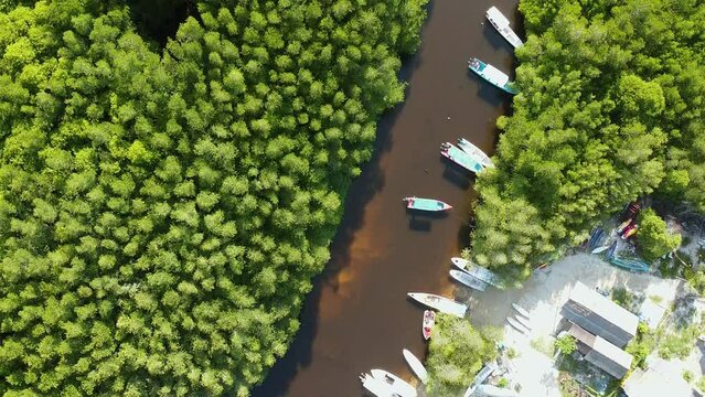 Beautiful aerial tropical river with boats in water flowing through green mangrove jungle forest nature in summer. Nusa Lembongan, Selat Ceningan, Bali. 
Drone flying through top down bird's eye view