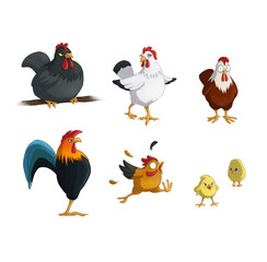 Fun chicken isolated on white background