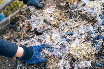 Garden cleaning in spring. Collection of dry grass and last year's foliage from the soil of the...