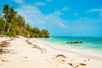 An aerial view of Zanzibar's sandy beaches captures the essence of a tropical paradise with palm trees, umbrellas, white sand, and the serene blue waters of the Indian Ocean.