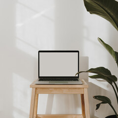 Aesthetic sunlight shadows on the wall. Blank screen laptop computer with copy space. Tropical...