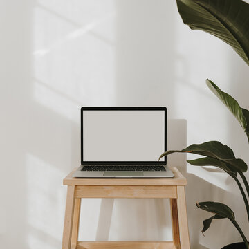 Aesthetic sunlight shadows on the wall. Blank screen laptop computer with copy space. Tropical plant in flowerpot. Influencer lifestyle blog