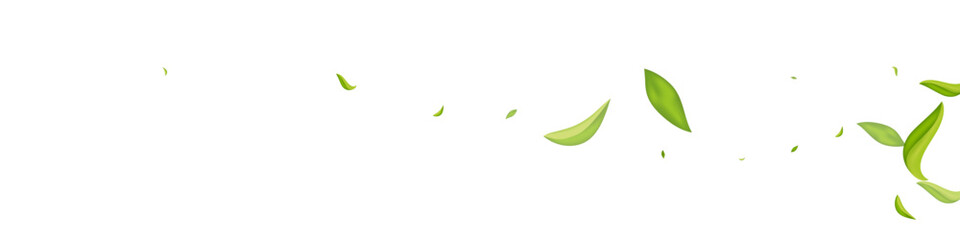 Lime Greens Organic Vector White Panoramic
