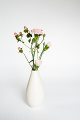 Blumen / Vase