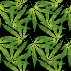Cannabis leaf. Weed. Marijuana plant. Sativa. Hemp. Digitally hand drawn illustration. Art. Graphic design element. Endless repeatable pattern. Seamless texture. 