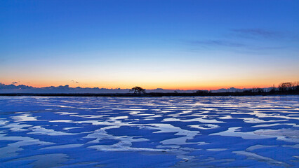 日の出前の一本松（別海町）