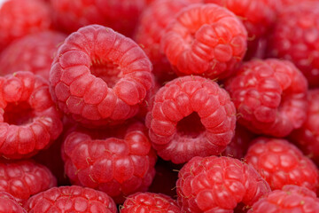 Naklejka premium Czerwone dorodne owoce maliny w powiększeniu makro
