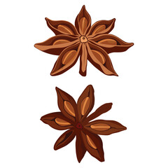 Vector illustration of star anise, star anise seed and cinnamon sticks. Star anise spice fruits and seeds isolated on white background closeup