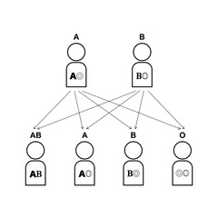 血液型の遺伝（親がAOとBOの場合）
