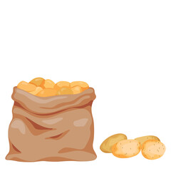 Vector illustration of potato, set of fresh whole and sliced potatoes isolated on white background. Half peeled potato with the twirling skin peel over it, chip, chips