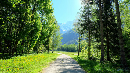 Chamonix am Mont Blanc in Frankreich mit Wanderweg