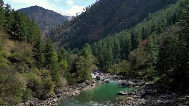 green Parvati River surrounded by mountains with pine trees at Parvati Valley, Himalayas - Kasol, India