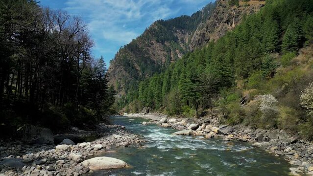 drone shot over Parvati River in Parvati Valley - A beautiful valley surrounded by Pine trees in the Indian Himalayas - Kasol - Kullu, Himachal Pradesh - Northern India