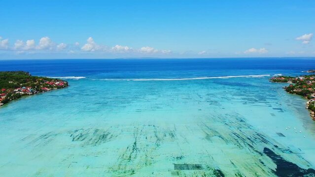 Idyyllic aerial view over ocean: Underwater seaweed grass plantation fields. Aquaculture farm and white boats in clear shimmering water at bay in Nusa Lembongan, Selat Ceningan, Bali. Drone flying up