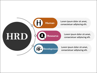 Obraz premium HRD - Human Resources Development acronym. Infographic template with icons and description placeholder