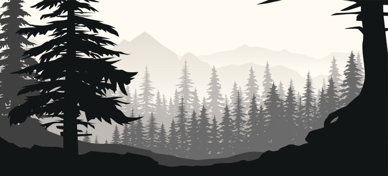 a beautiful forest landscape in grey color