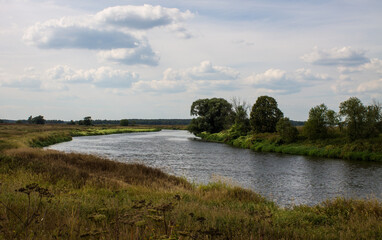 Fototapeta premium Beautiful landscape - the Klyazma river between the banks with green grass and trees against a cloudy sky on a summer day in the Moscow region and copy space