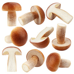 mushroom, boletus edulis, porcini, king bolete, isolated on white background, clipping path, full...