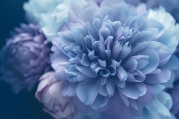 blue hydrangea flower