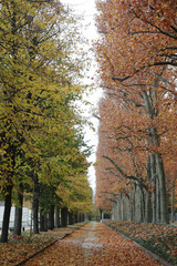 Soviet War Memorial (Treptower Park)	