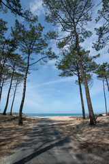 la route de la plage