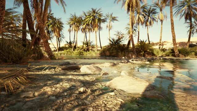 Oasis lake in desert surrounded high yellow sand dunes