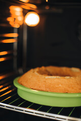 Baked round cake in a green silicone mold in the oven. Cooking desserts at home. Front view