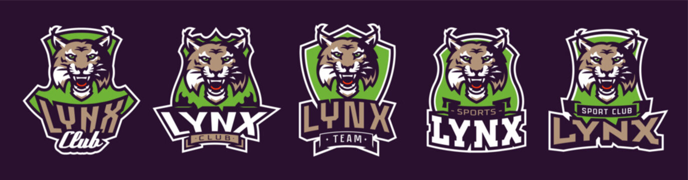 Set of sports logos with lynx mascots. Colorful collection sports emblem with lynx mascot and bold font on shield background. Logo for esport team, athletic club. Isolated vector illustration