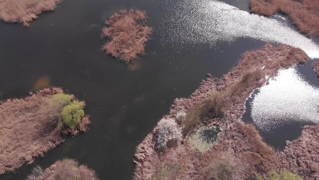 Vacaresti Nature Park, Bucharest. View from the drone