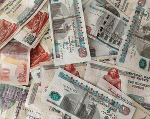 background of banknotes - Egyptian currency  - Egyptian pounds