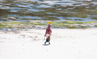 African woman bringing seafood with bucket on their head