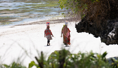 African women bringing seafood with bucket on their heads