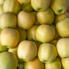 Fresh, organic green apples top view closeup. Sweet and juicy vegan food.