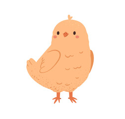 Cute yellow chicken. Funny small chick. Happy adorable newborn baby bird standing. Charming delicate sweet little character, poultry. Flat vector illustration isolated on white background