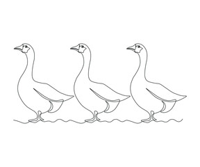 Fototapeta na wymiar three abstract geese stand in a row,hand drawn, continuous mono line, one line art