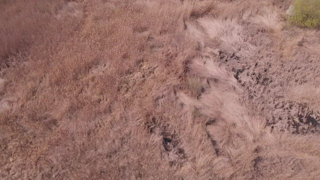 Vacaresti Nature Park, Bucharest. View from the drone
