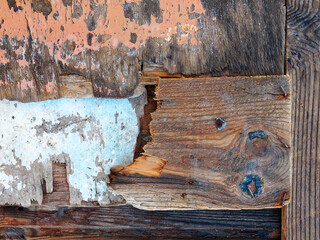 Variety of weathered wood pieces washed by the sea, rough texture background.