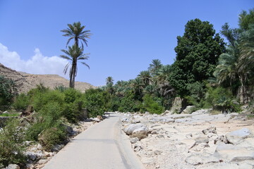 Das trockene Flußbett im Wadi Bani Khalid im Oman