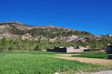 Nature in Swat valley of Himalayas, Pakistan