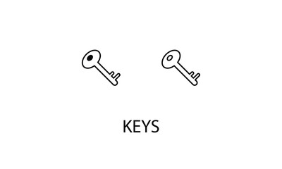 Keys icons with 2 styles outline icon, glyph icon, vector stock
