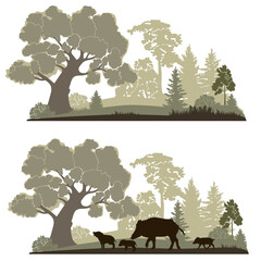Forest landscape with wild pig and  cubs silhouettes , green colors, vector illustration.