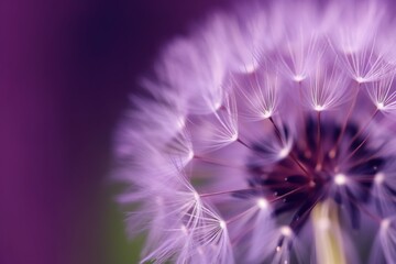  a close up of a dandelion with a blurry back ground and a purple and green background with a black center and white center.  generative ai