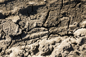 Dry ground cracked background. Soil after drought pattern. Cracks on sandy earth texture. Lack of...