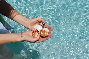 Top view of a Caucasian female's hands holding shells in blue water in sunlight